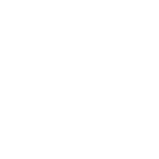 Multiple Connector Standards
